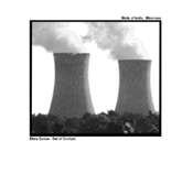 Birds of India - Elora Danon - split - 7